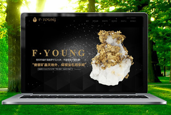 ���������ﱦʯ